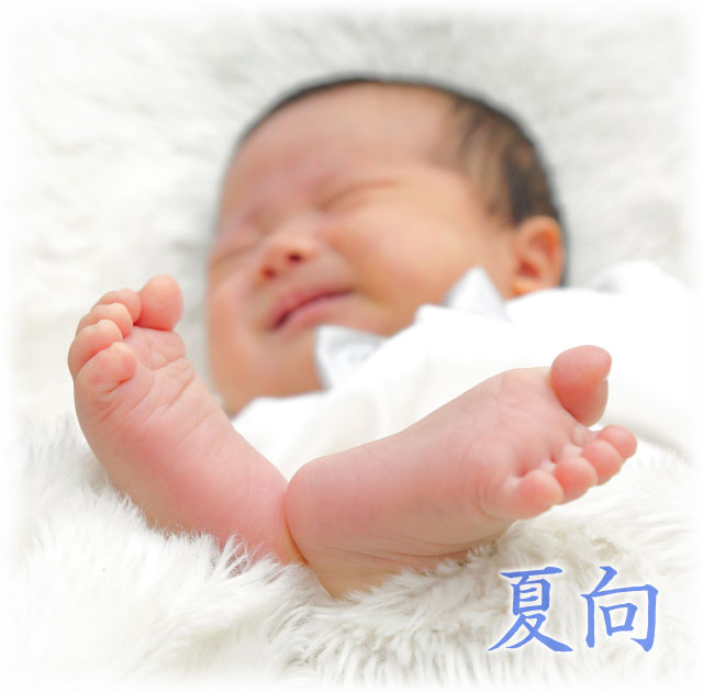 お宮参り
