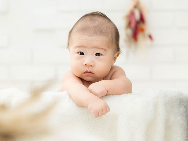 百日　54604