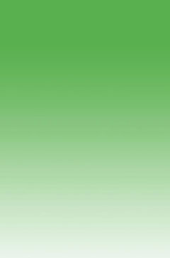 背景　緑 (2008-04-04)