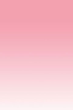 背景　ピンク (2008-04-04)