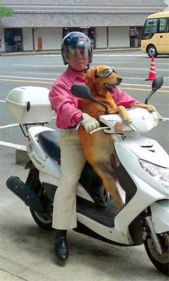 100801_chie.jpg
