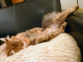 P1010732.JPG